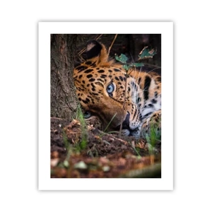 Affiche - Poster - Fais-moi confiance - 40x50 cm