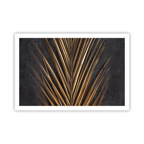 Affiche - Poster - L'or des tropiques - 91x61 cm