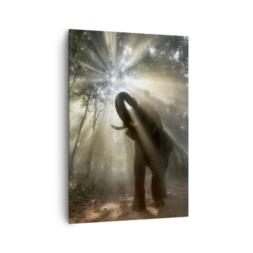 Impression sur toile - Image sur toile - Un éléphant dans la forêt entouré de rayons de lumière dans la brume matinale - 70x100cm - Sous la bonne étoile - Décoration murale moderne pour le salon et la chambre ARTTOR