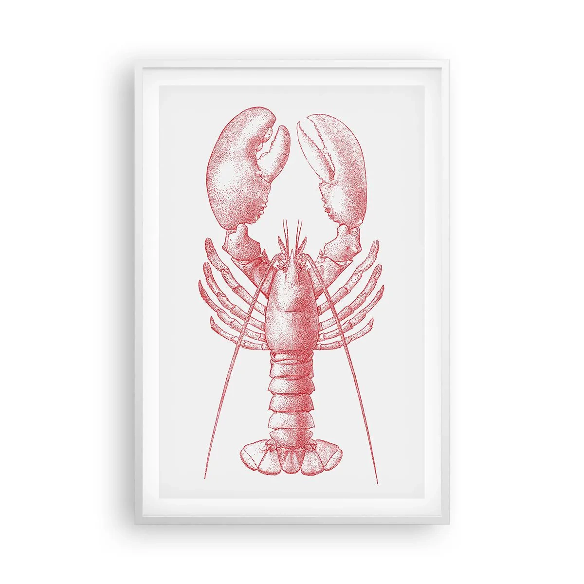 Affiche dans un cadre blanc - Poster - Un homard digne d'Homère - 61x91 cm