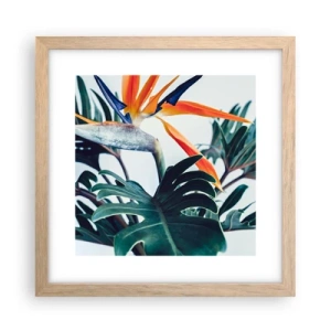 Affiche dans un chêne clair - Poster - Le buisson oiseaux - 30x30 cm