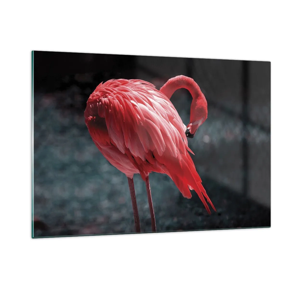Impression sur verre - Image sur verre - Un flamant rose aux nuances intenses de rouge sur fond sombre - 120x80cm - Poème cramoisi de la nature - Décoration murale moderne pour le salon et la chambre ARTTOR