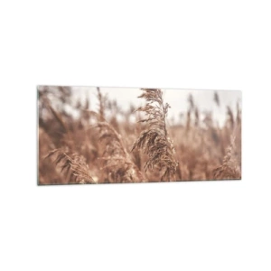 Impression sur verre - Image sur verre - Herbes dorées sur fond de paysage d'automne - 120x50cm - C'est déjà l'automne dans les champs - Décoration murale moderne pour le salon et la chambre ARTTOR