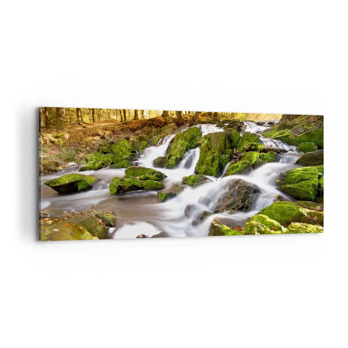Impression sur toile - Image sur toile - Rapidement à travers la forêt d'automne - 100x40 cm