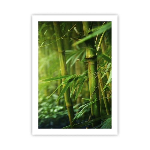 Affiche - Poster - Une bambouseraie aux nuances de vert - 50x70cm - Apprenez à connaître le vert lui-même - Décoration murale moderne pour le salon et la chambre ARTTOR