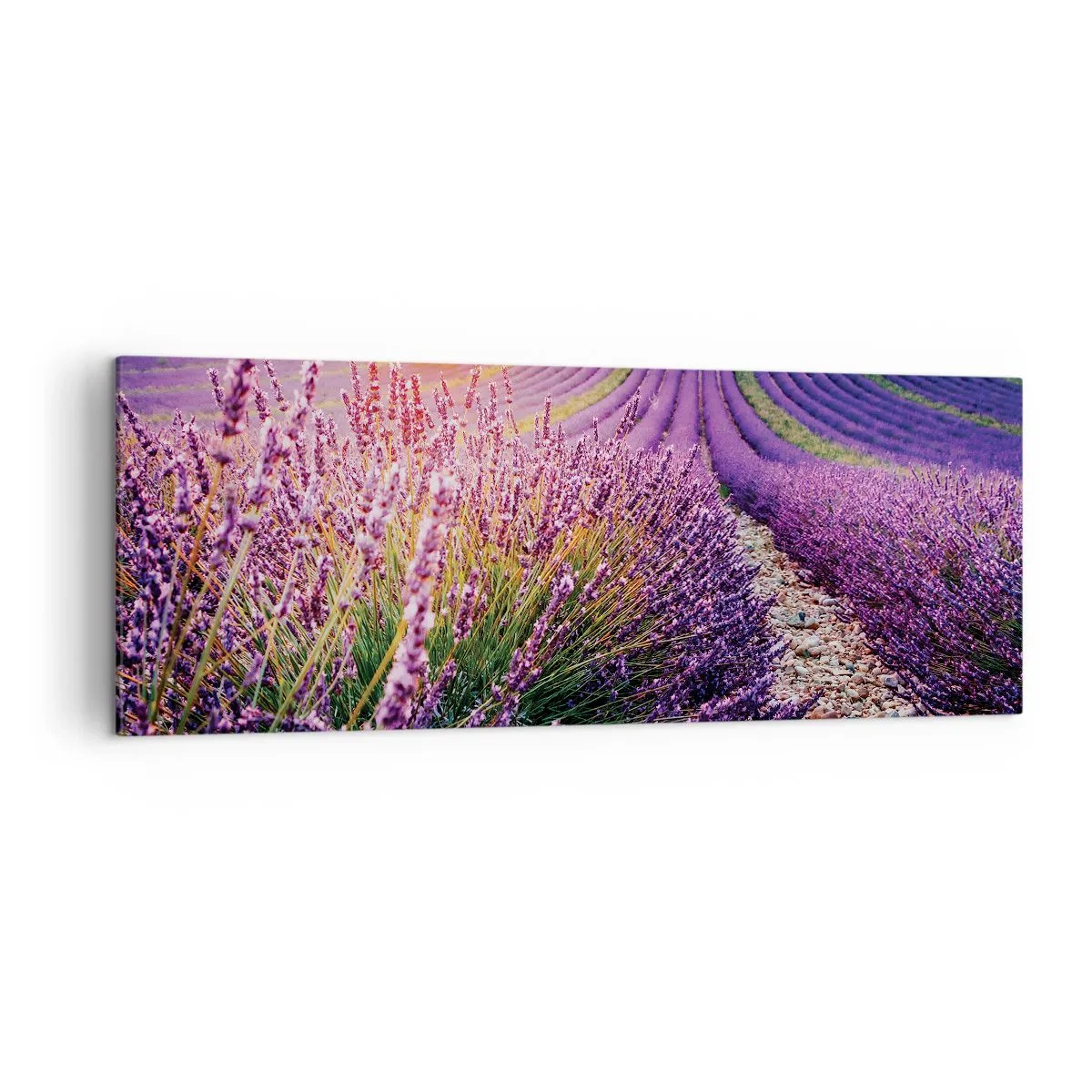 Impression sur toile - Image sur toile - Champ de lavande au coucher du soleil - 140x50cm - Tige parfumée - Décoration murale moderne pour le salon et la chambre ARTTOR