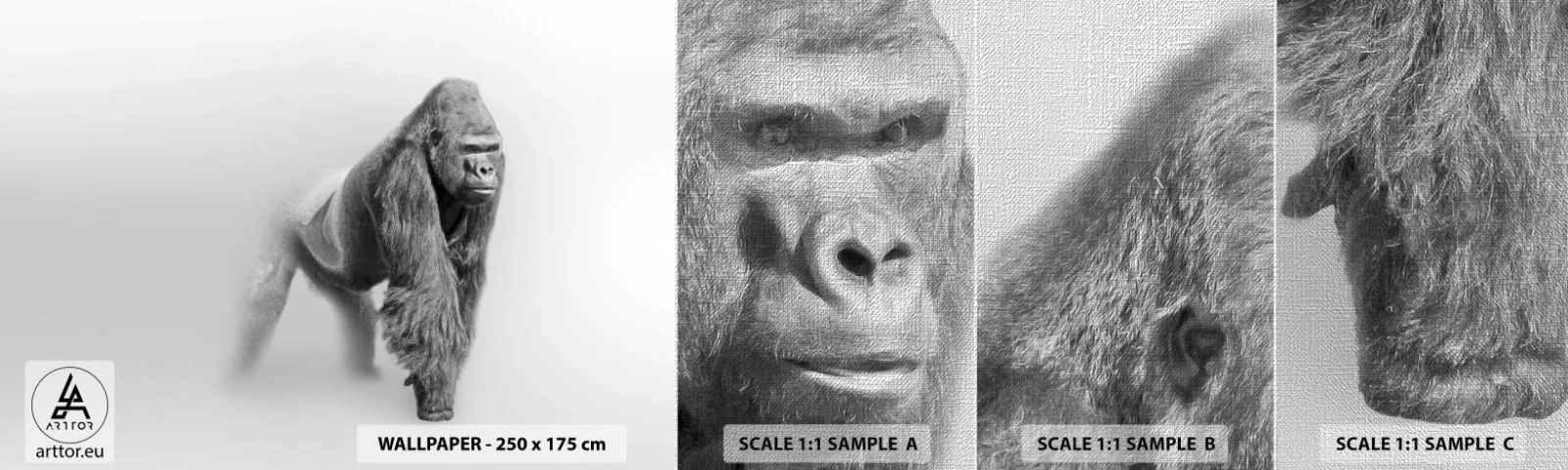 Échantillon de Papier Peint Premium Canvas - Confiant en sa force - Animaux, Gorille, Singe - 100x30 cm