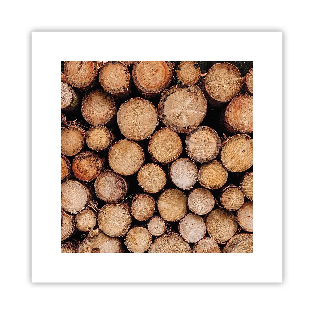 Affiche - Poster - Nouveau commencement - 30x30 cm