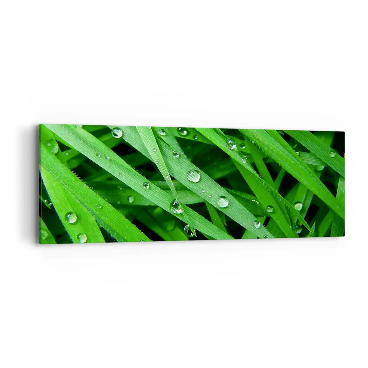 Impression sur toile - Image sur toile - Jouez dans le vert - 90x30 cm