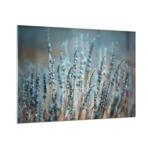 Impression sur verre - Image sur verre - Un champ de lavande dans une lumière douce et fraîche - 100x70cm - Tige odorante - Décoration murale moderne pour le salon et la chambre ARTTOR