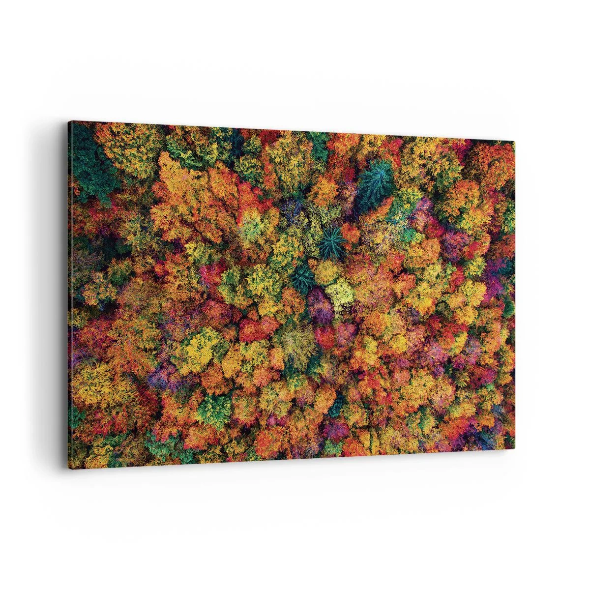 Impression sur toile - Image sur toile - Couronnes d'arbres colorées dans la palette d'automne - 120x80cm - Bouquet d'arbres automnal - Décoration murale moderne pour le salon et la chambre ARTTOR