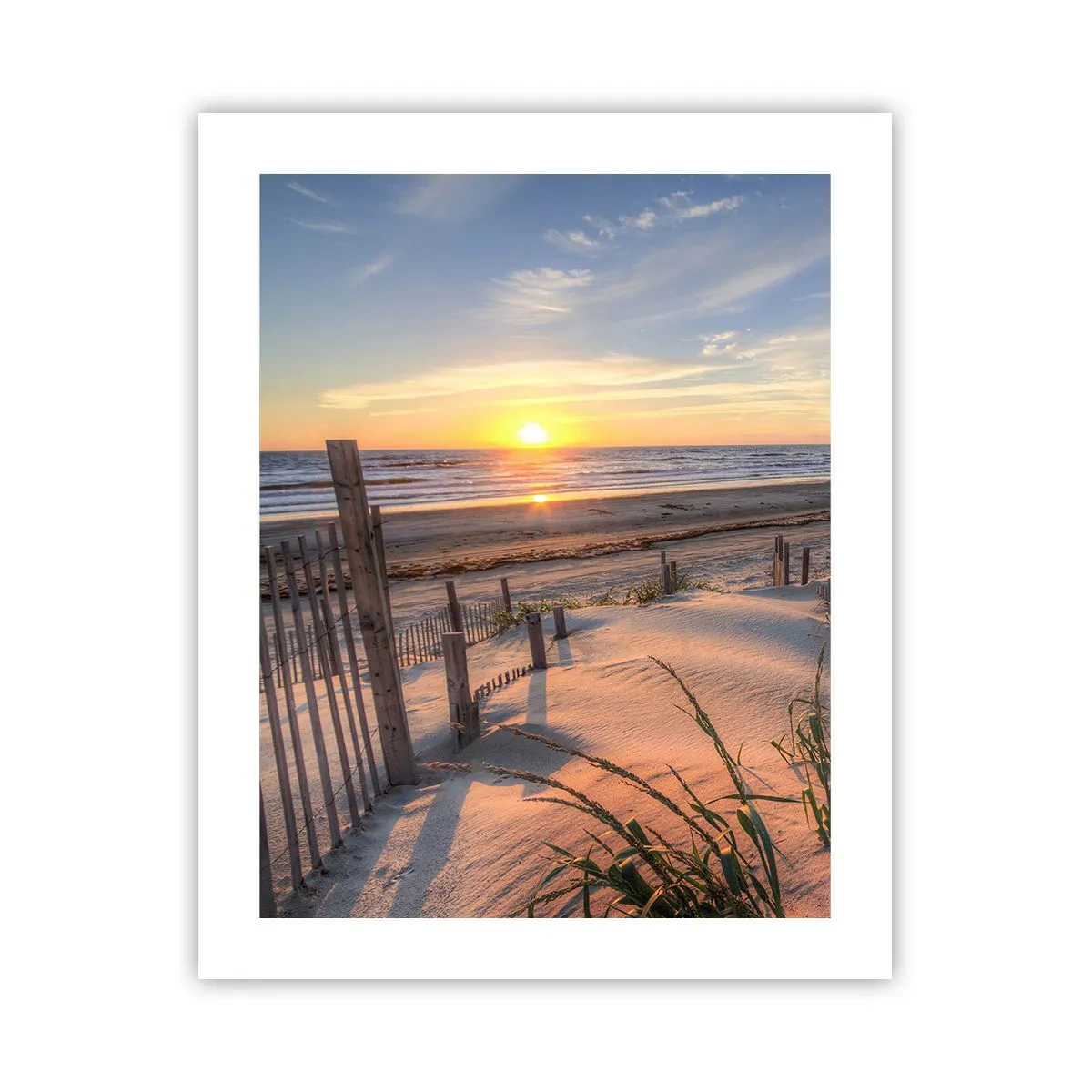 Affiche - Poster - Ombre et brillance du vent - 40x50 cm