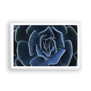 Affiche dans un cadre blanc - Poster - Fleur du désert - 91x61 cm