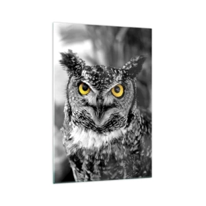 Impression sur verre - Image sur verre - Une photo en noir et blanc d'un hibou aux yeux jaunes - 70x100cm - Rien ne se cachera - Décoration murale moderne pour le salon et la chambre ARTTOR