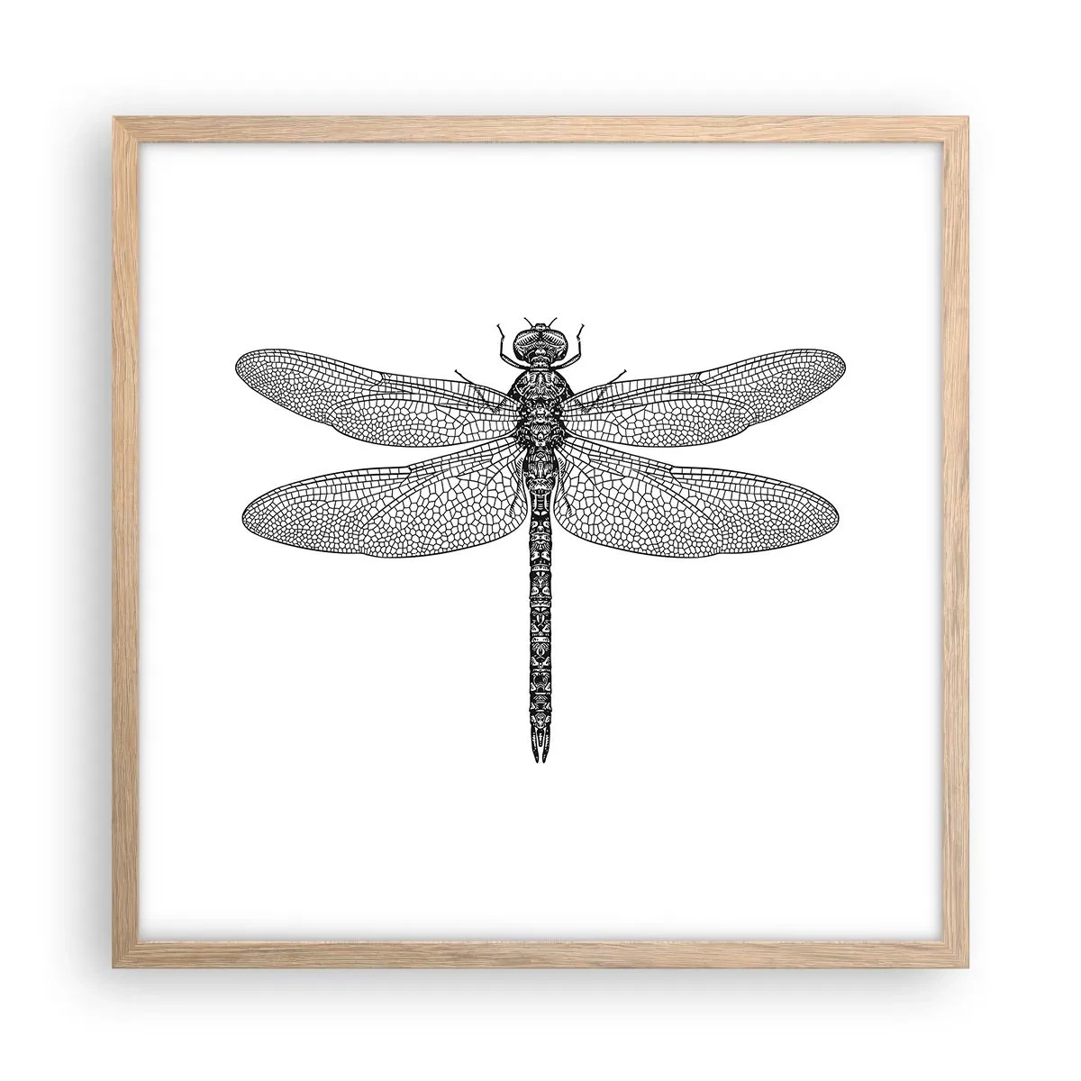 Affiche dans un chêne clair - Poster - Précision de la nature - 50x50 cm