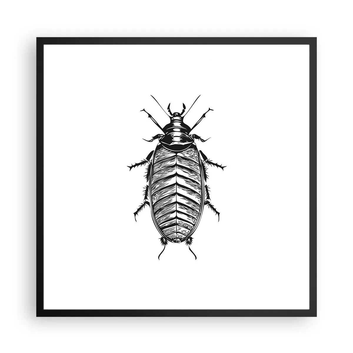 Affiche dans un cadre noir - Poster - Quel spécimen! - 60x60 cm