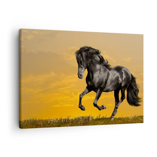 Impression sur toile - Image sur toile - Un cheval noir galope sur fond de coucher de soleil doré. - 70x50cm - Beau, libre et sauvage - Décoration murale moderne pour le salon et la chambre ARTTOR