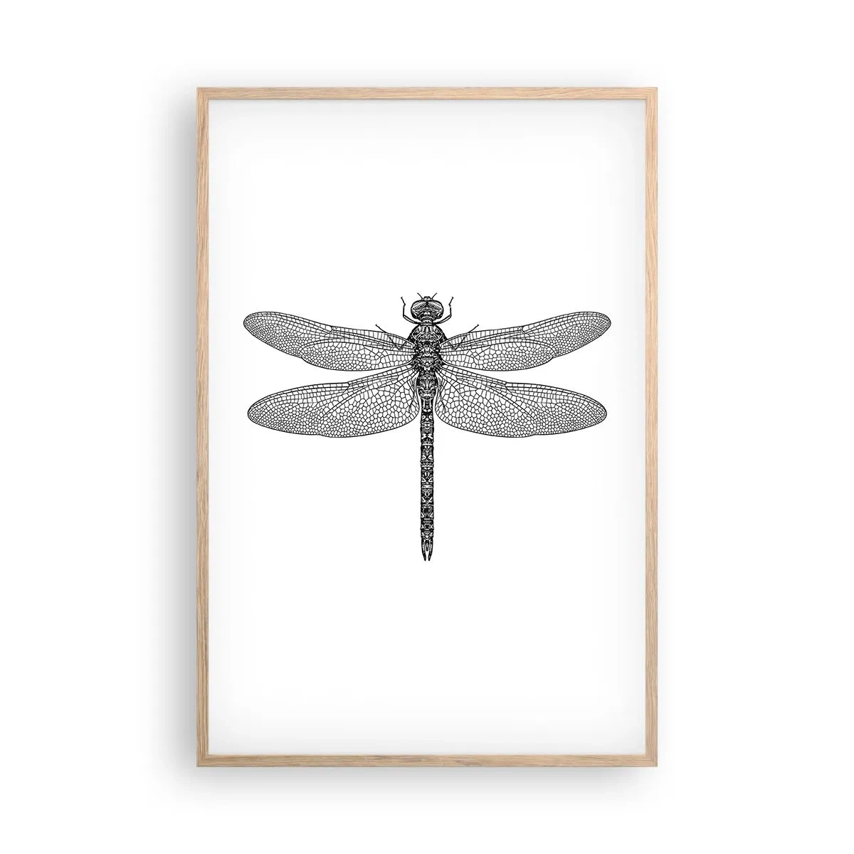 Affiche dans un chêne clair - Poster - Précision de la nature - 61x91 cm