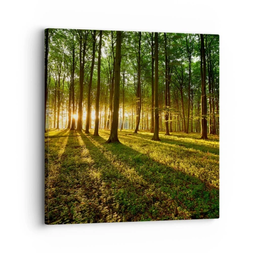 Impression sur toile - Image sur toile - Toutes les photographies de printemps - 30x30 cm