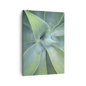 Impression sur toile - Image sur toile - Feuilles d'agave subtiles dans des tons verts - 50x70cm - La naissance de la verdure - Décoration murale moderne pour le salon et la chambre ARTTOR
