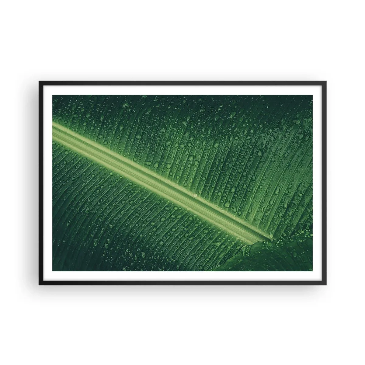 Affiche dans un cadre noir - Poster - Une feuille verte avec des gouttes d'eau à sa surface - 100x70cm - Structure de vert - Décoration murale moderne pour le salon et la chambre ARTTOR