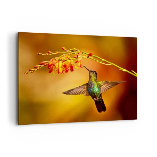 Impression sur toile - Image sur toile - Colibri près d'une fleur dans la lumière chaude - 120x80cm - Un messager de lumière selon les Mayas - Décoration murale moderne pour le salon et la chambre ARTTOR