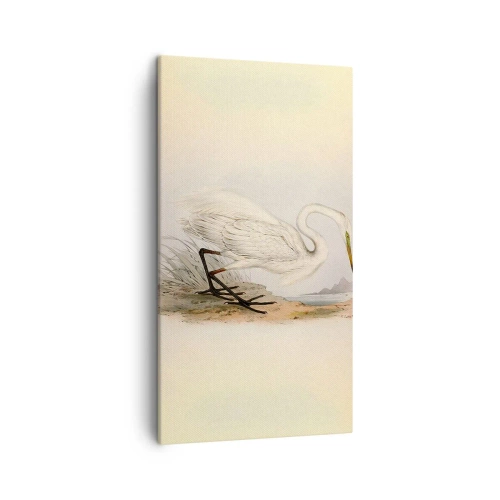 Impression sur toile - Image sur toile - Dame sur les joncs - 45x80 cm