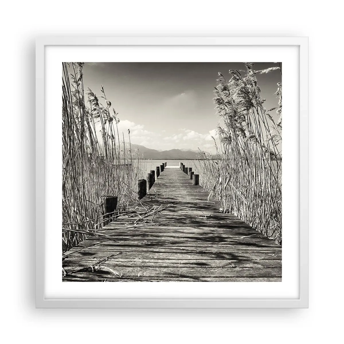 Affiche dans un cadre blanc - Poster - Dans le calme de l'herbe - 50x50 cm