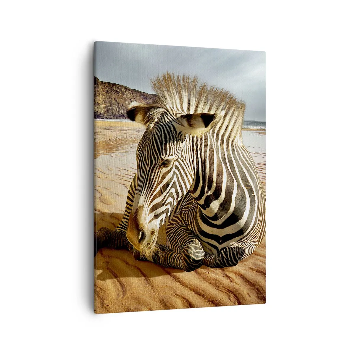 Impression sur toile - Image sur toile - Un zèbre se reposant sur une plage de sable avec des falaises en arrière-plan. - 50x70cm - On va bien ensemble - Décoration murale moderne pour le salon et la chambre ARTTOR