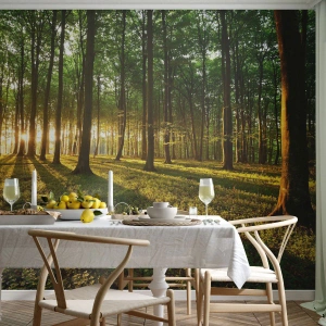 Papier Peint Photo Premium Canvas - Toutes les photographies de printemps - Paysage, Forêt, Nature - 300x210 cm