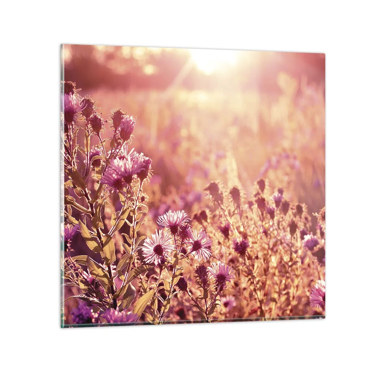 Impression sur verre - Image sur verre - Avant que l'été ne parte - 50x50 cm