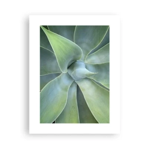 Affiche - Poster - La naissance de la verdure - 30x40 cm