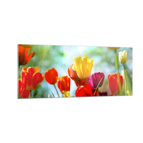 Impression sur verre - Image sur verre - Toutes les couleurs du soleil - 100x40 cm