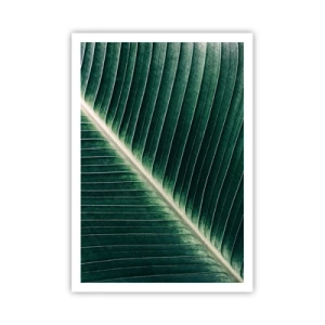 Affiche - Poster - Le rythme de la nature - 70x100 cm