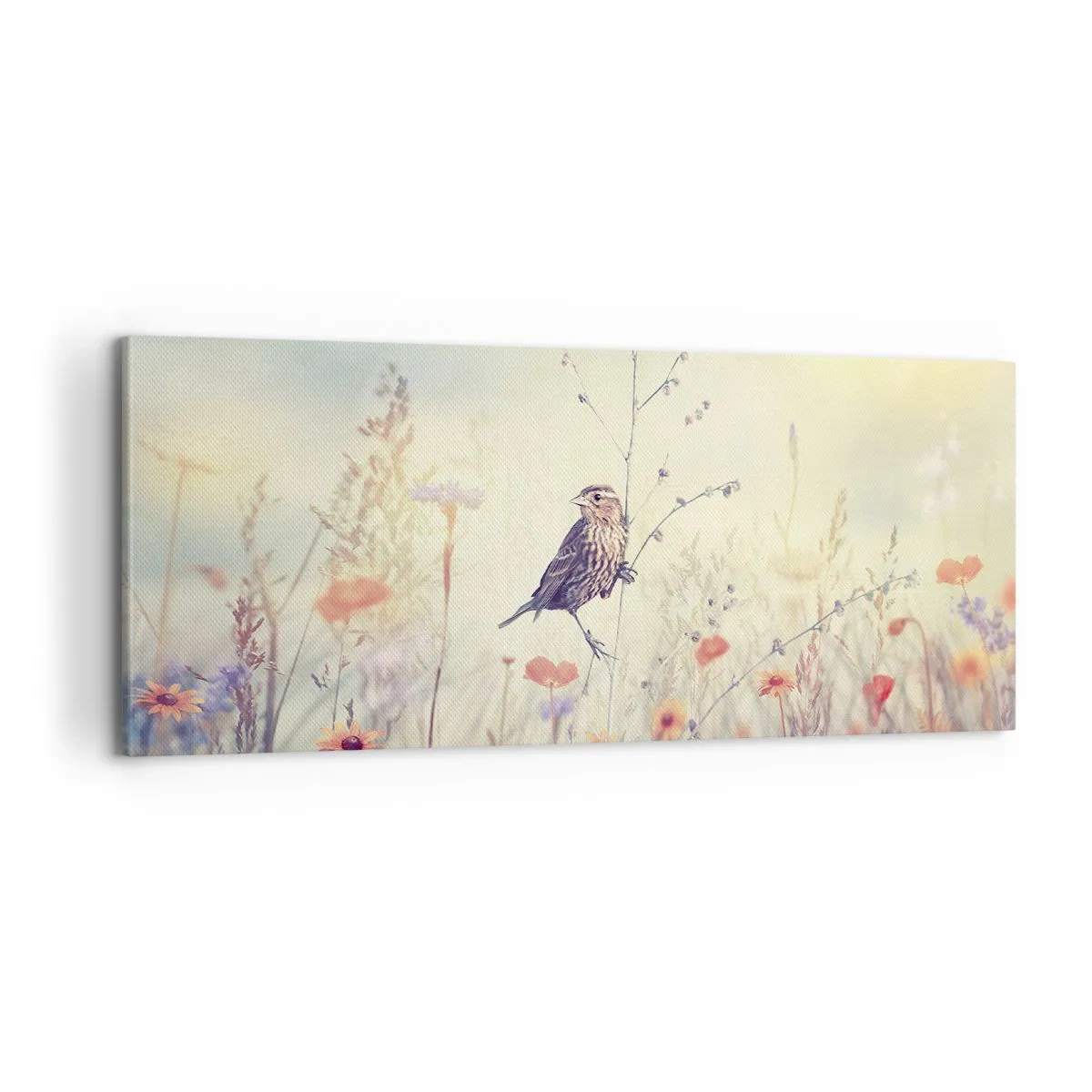 Impression sur toile - Image sur toile - Portrait d'oiseau sur pré en fond - 100x40 cm