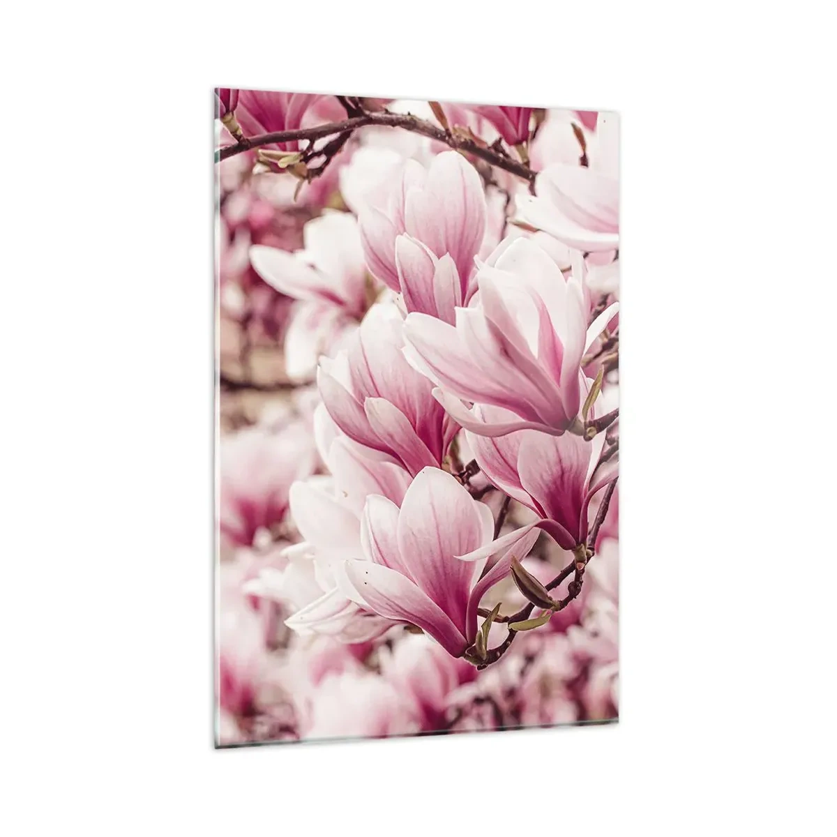 Impression sur verre - Image sur verre - Le printemps est rose - 80x120 cm