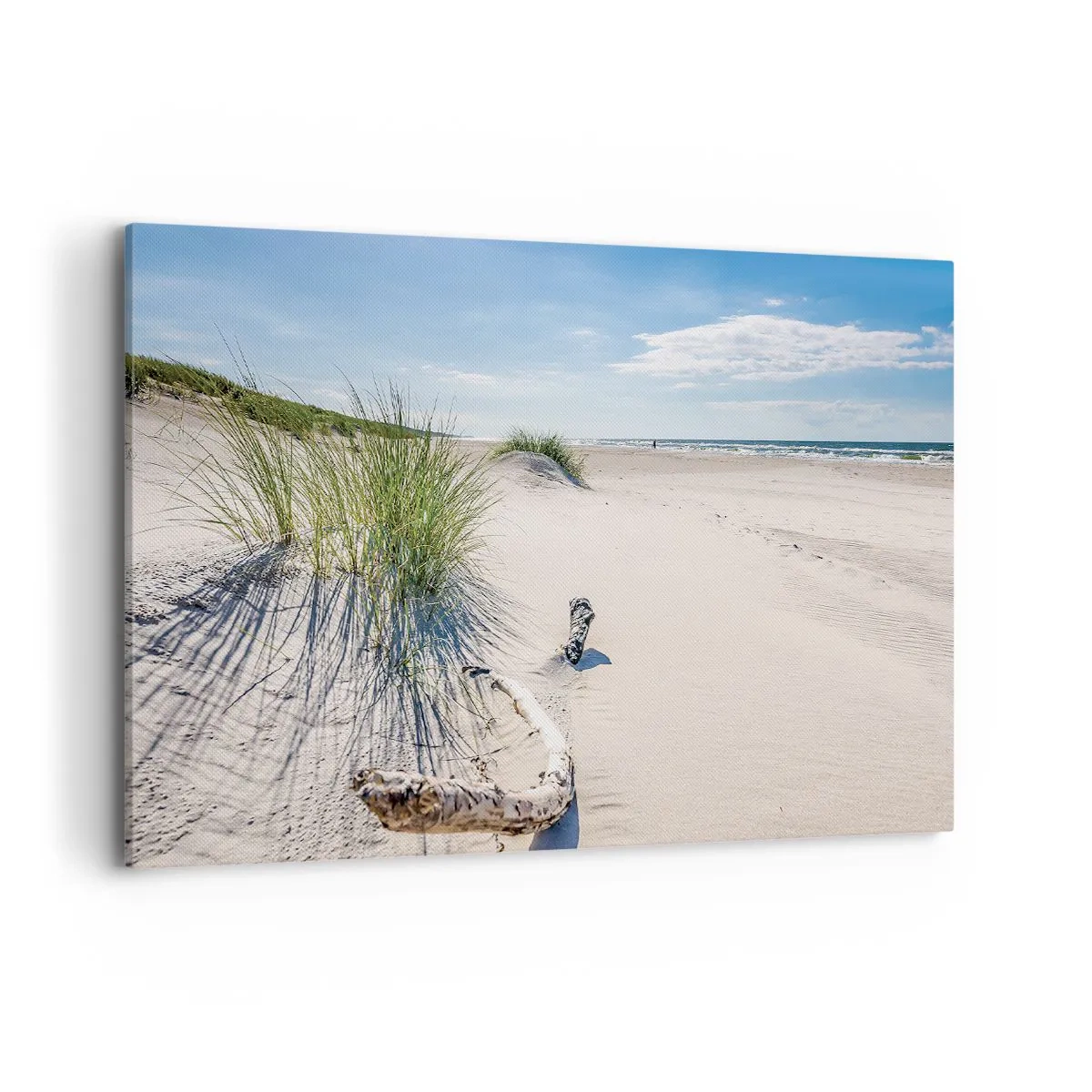 Impression sur toile - Image sur toile - Une plage baltique avec du sable, de l'herbe et un ciel bleu calme - 120x80cm - La plus belle? La Baltique - Décoration murale moderne pour le salon et la chambre ARTTOR