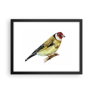 Affiche dans un cadre noir - Poster - Portrait d'oiseau - 40x30 cm