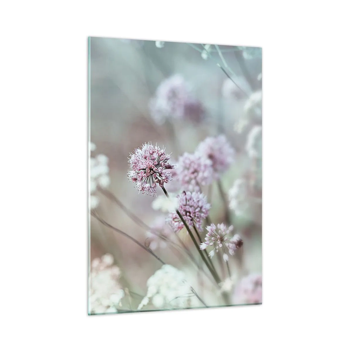 Impression sur verre - Image sur verre - Fleurs sauvages délicates aux tons pastel - 50x70cm - Herbes douces en filigrane - Décoration murale moderne pour le salon et la chambre ARTTOR