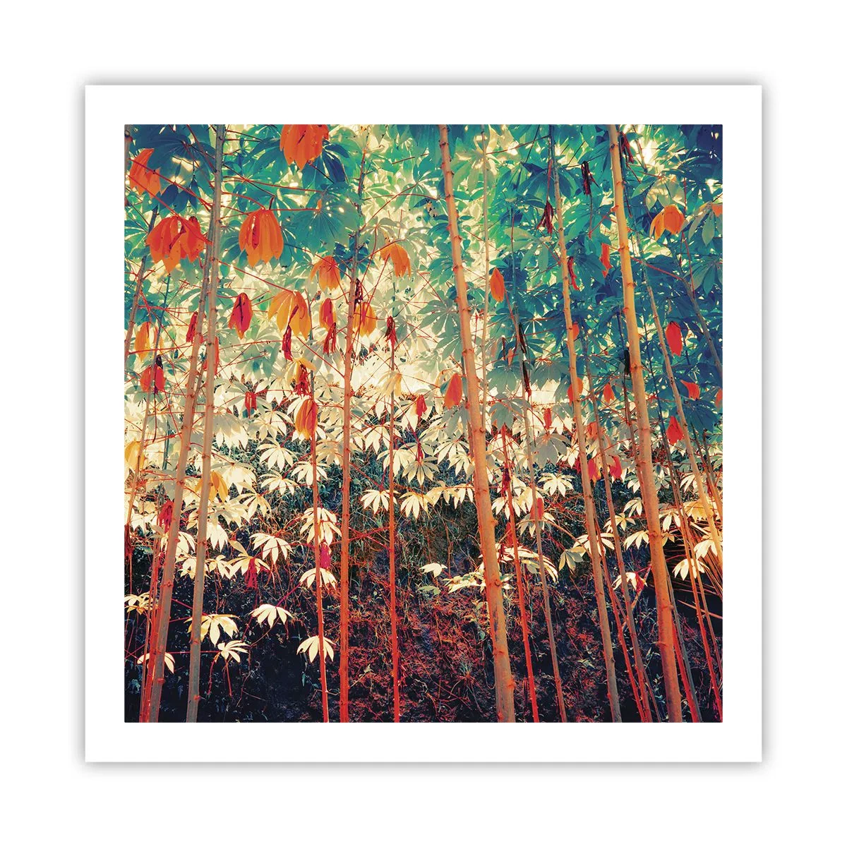 Affiche - Poster - La vie secrète des feuilles - 60x60 cm