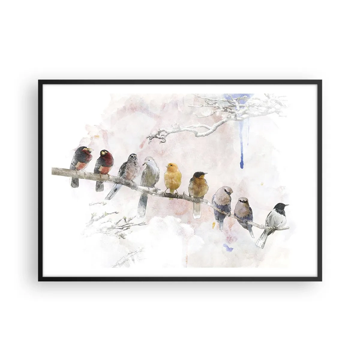 Affiche dans un cadre noir - Poster - Oiseaux colorés sur une branche dans un style aquarelle - 100x70cm - Rencontre ailée - Décoration murale moderne pour le salon et la chambre ARTTOR