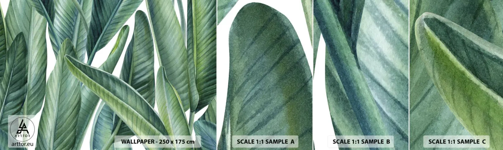 Échantillon de Papier Peint Autocollant Deluxe Sticker - La nature face à elle-même - Feuilles vertes, Plante tropicale, Nature - 100x30 cm