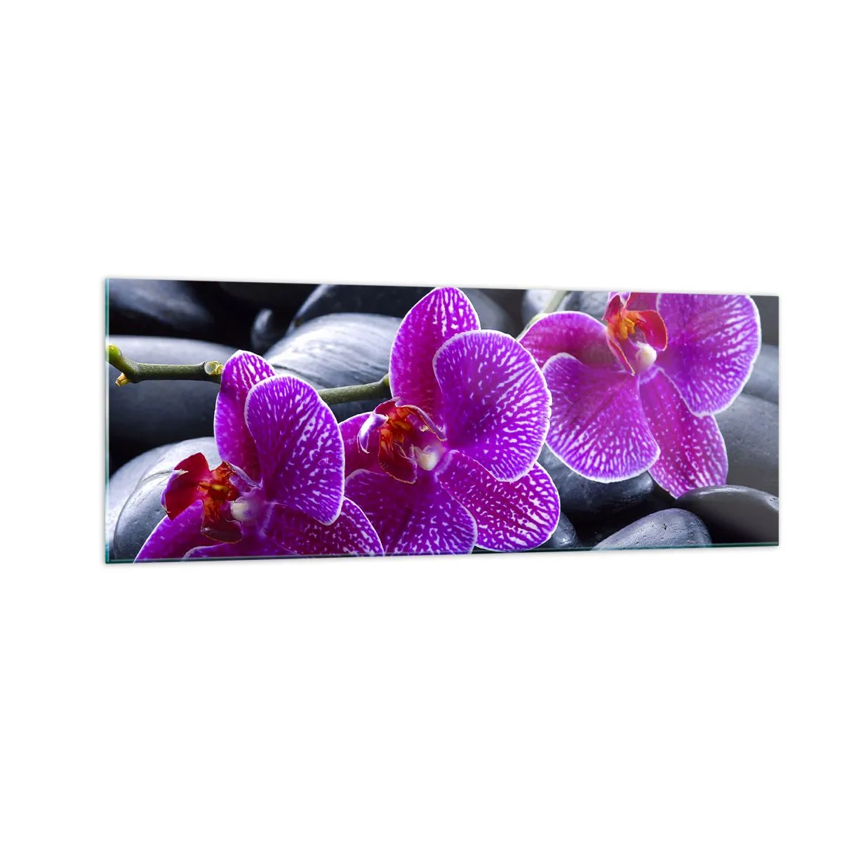 Impression sur verre - Image sur verre - Orchidées violettes sur fond de pierres noires - 140x50cm - Les pierres brillaient de joie - Décoration murale moderne pour le salon et la chambre ARTTOR