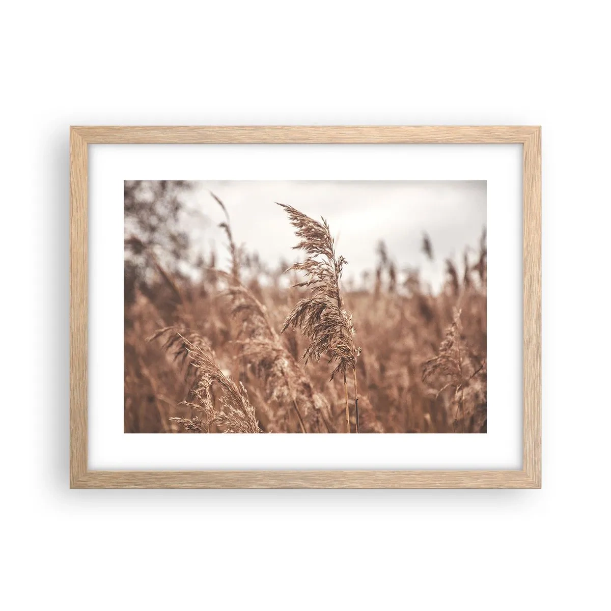 Affiche dans un chêne clair - Poster - C'est déjà l'automne dans les champs - 40x30 cm