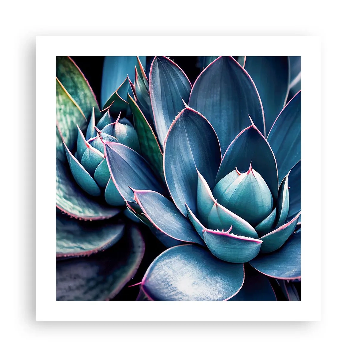 Affiche - Poster - Force vital - 50x50 cm