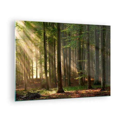 Impression sur verre - Image sur verre - Les rayons du soleil brillent à travers les arbres de la forêt - 70x50cm - Rayon d'un matin de printemps - Décoration murale moderne pour le salon et la chambre ARTTOR