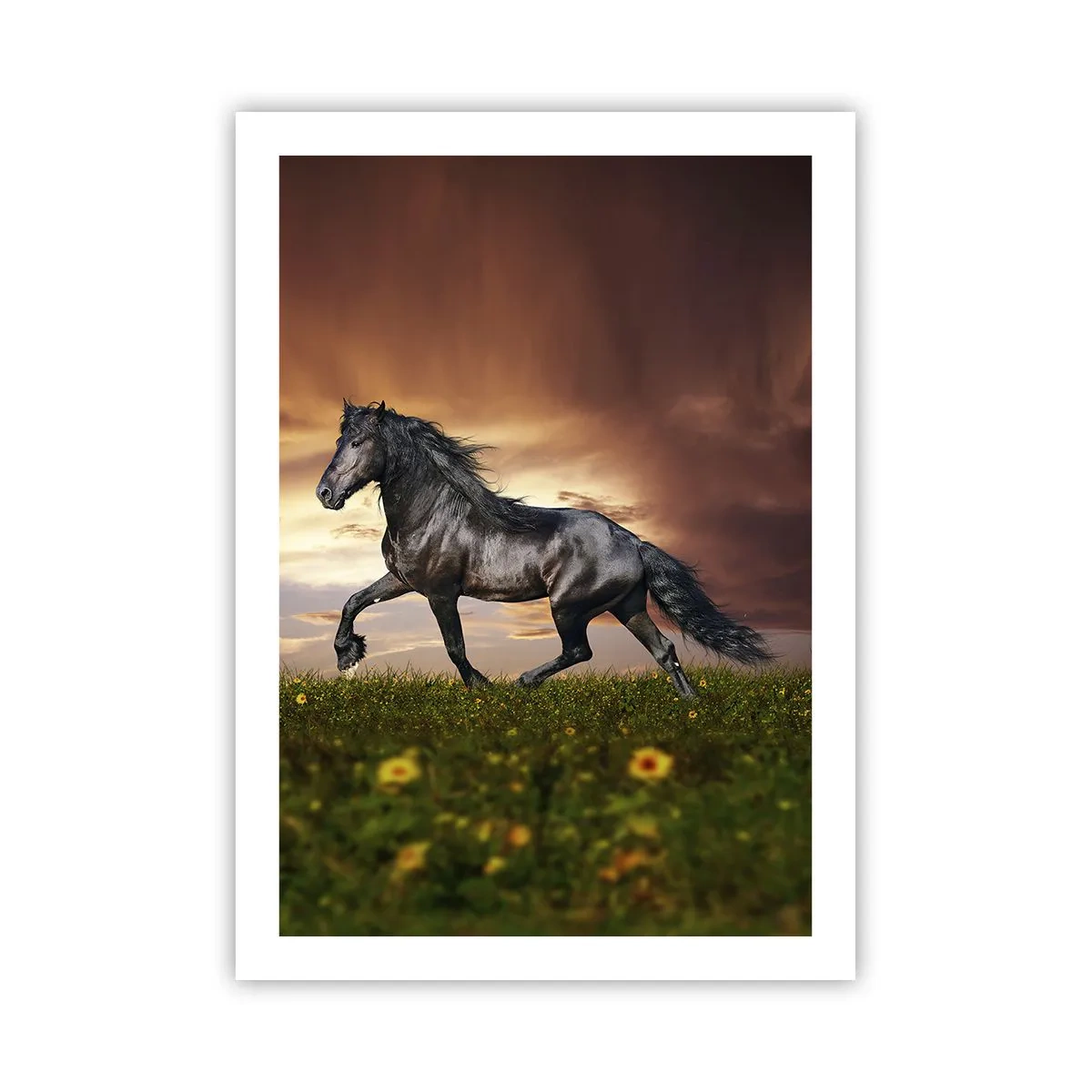 Affiche - Poster - Un cheval noir galope à travers un pré à la lumière du soleil couchant. - 50x70cm - Livres noirs - Décoration murale moderne pour le salon et la chambre ARTTOR