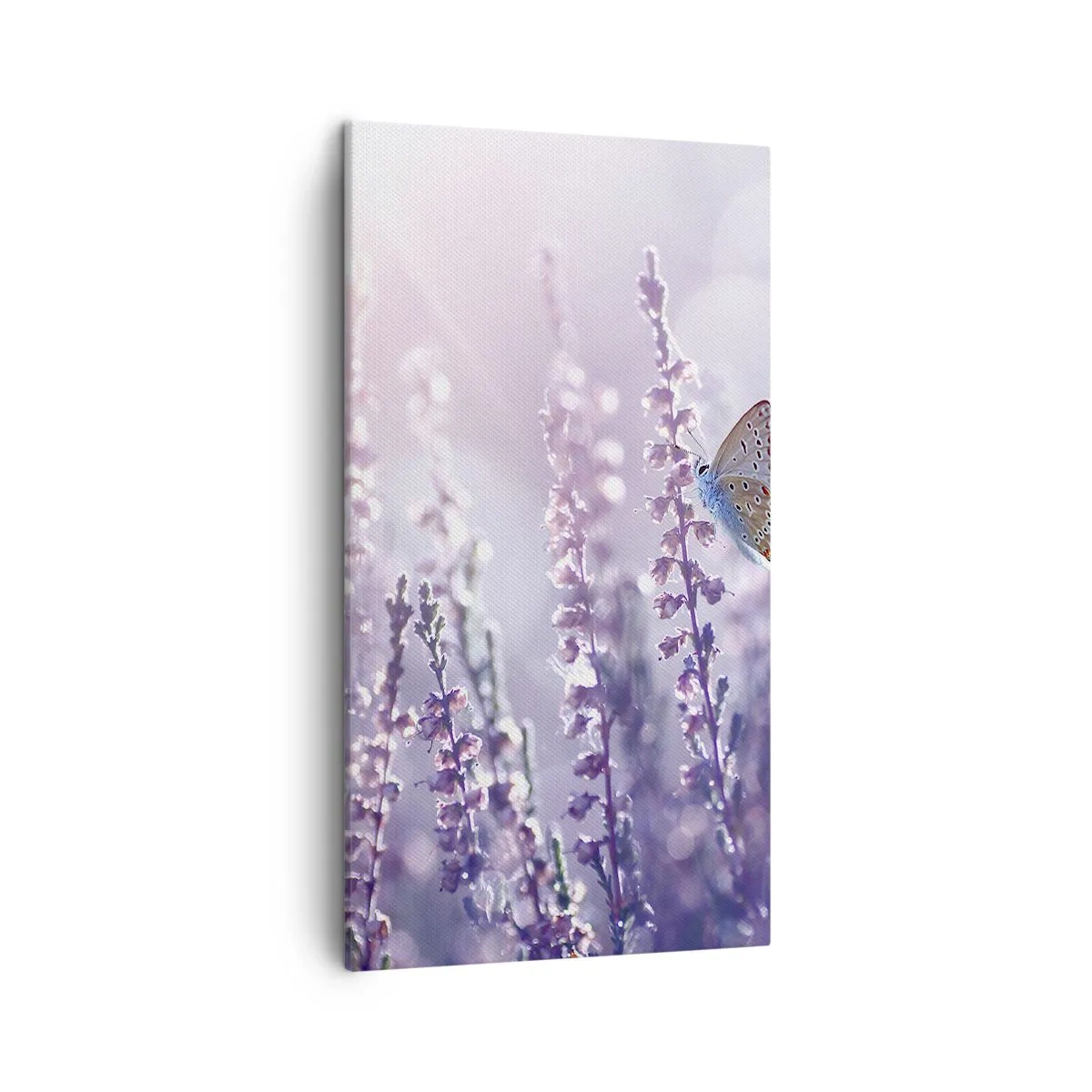 Impression sur toile - Image sur toile - Baiser de papillon - 45x80 cm