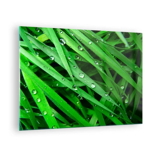 Impression sur verre - Image sur verre - Des brins d'herbe verts avec des gouttes de rosée - 70x50cm - Jouez dans le vert - Décoration murale moderne pour le salon et la chambre ARTTOR