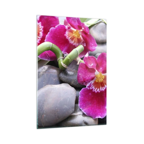 Impression sur verre - Image sur verre - Orchidées roses sur fond de pierres lisses - 80x120cm - Refroidir et chauffer - Décoration murale moderne pour le salon et la chambre ARTTOR